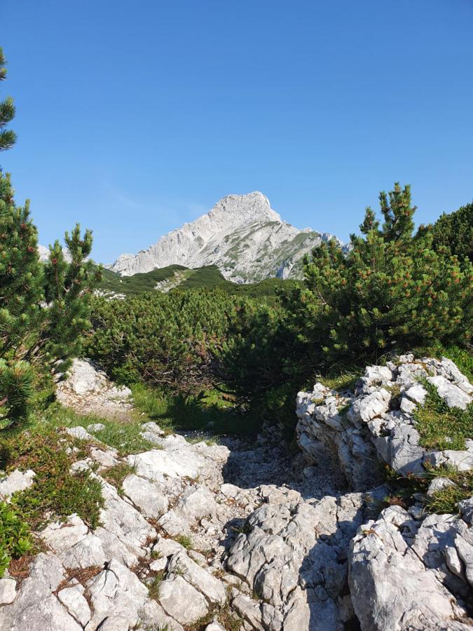 Holiday Home Prdelanca Luče Buitenkant foto